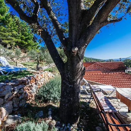 Prázdninový dům My Dalmatia - Jucinovi Dvori With Private Pool And Sauna Starigrad Paklenica